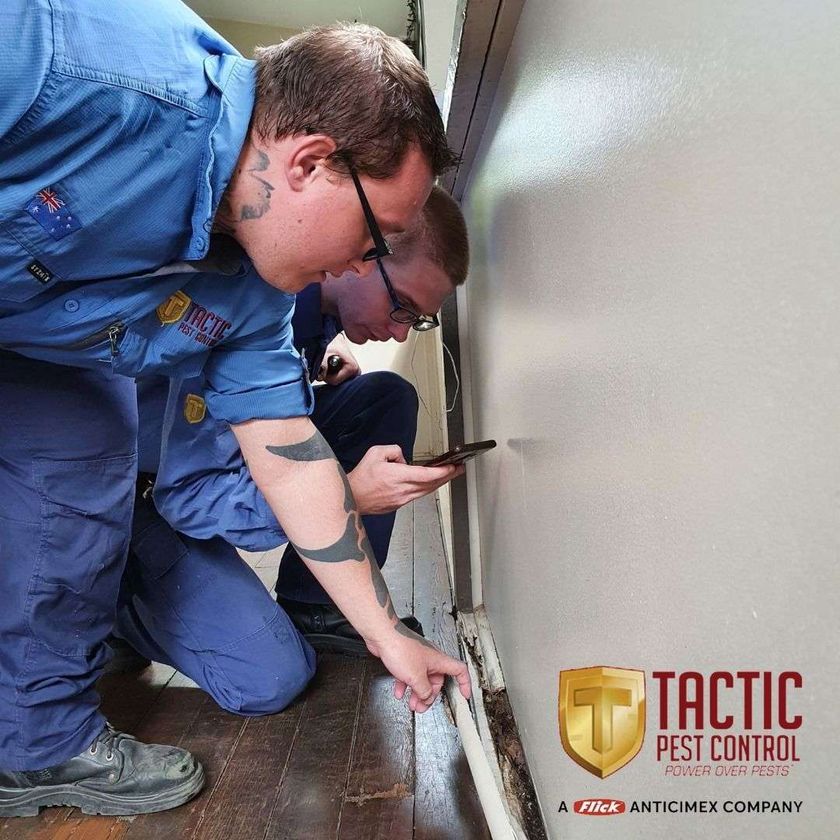 Tactic Pest Control featured image