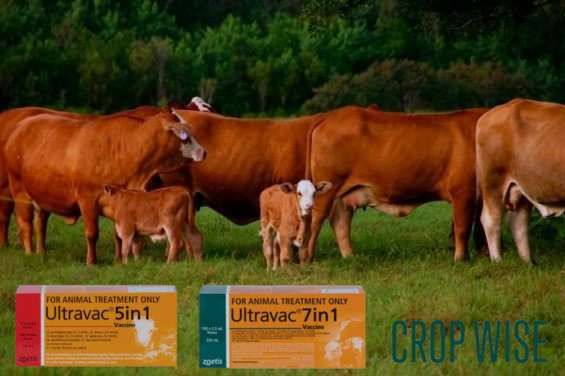 Crop Wise Pty Ltd featured image