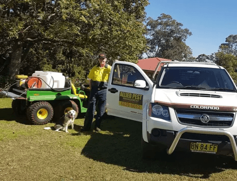 Allied Pest Management Northern Rivers featured image