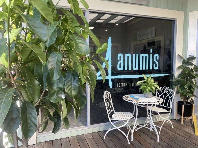 Anumis Legal featured image