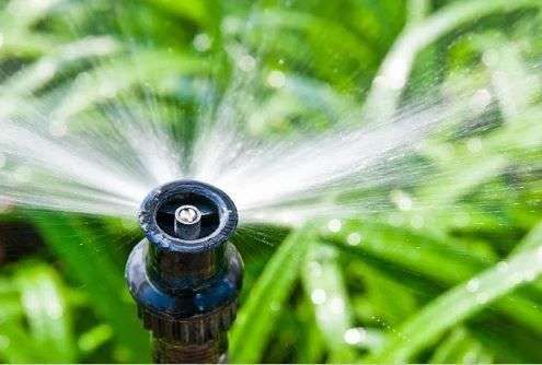 Taree Pumps & Irrigation featured image