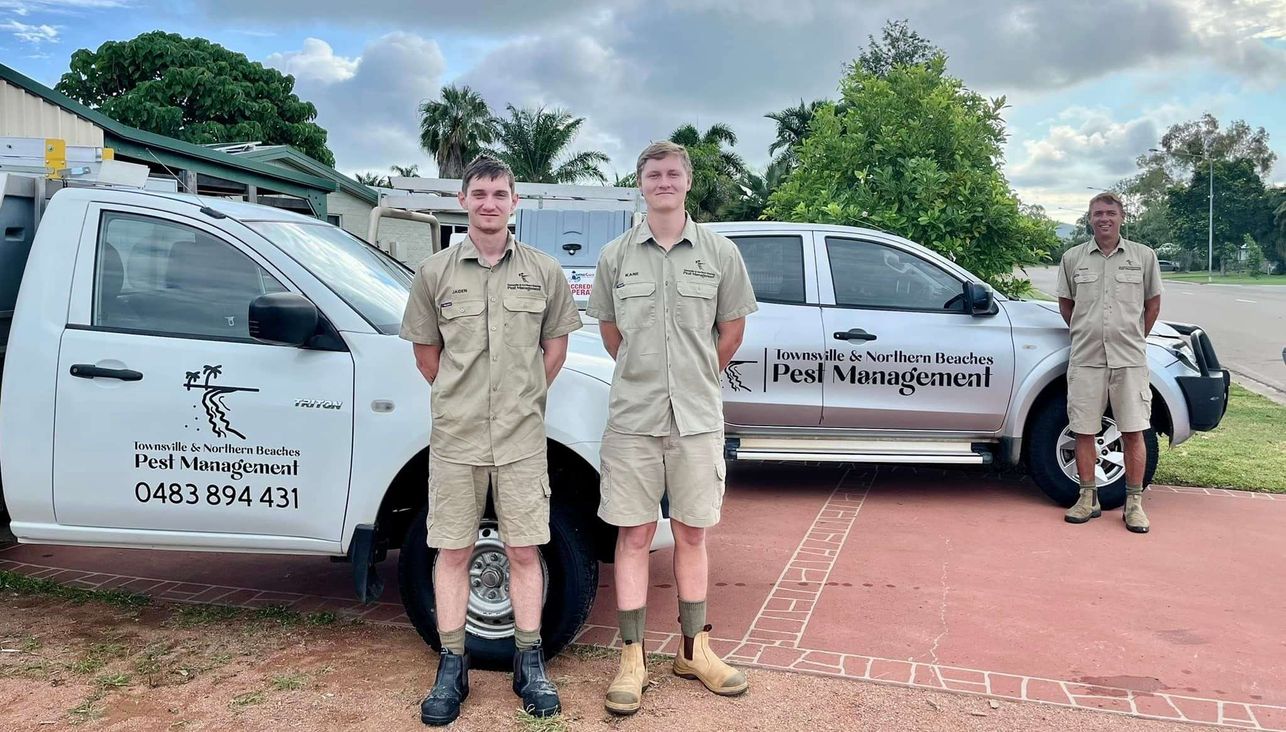 Townsville & Northern Beaches Pest Management featured image
