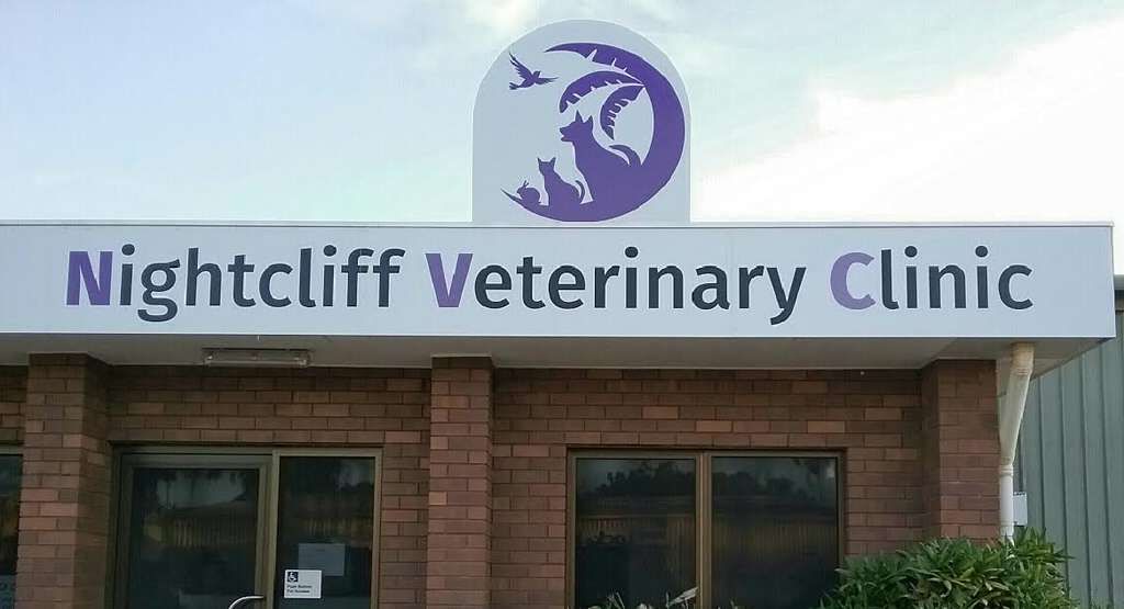 Nightcliff Veterinary Clinic featured image