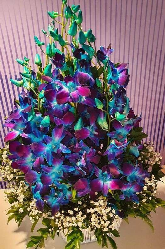 Ivy Lane Flowers & Gifts Hospital Florist gallery image 12