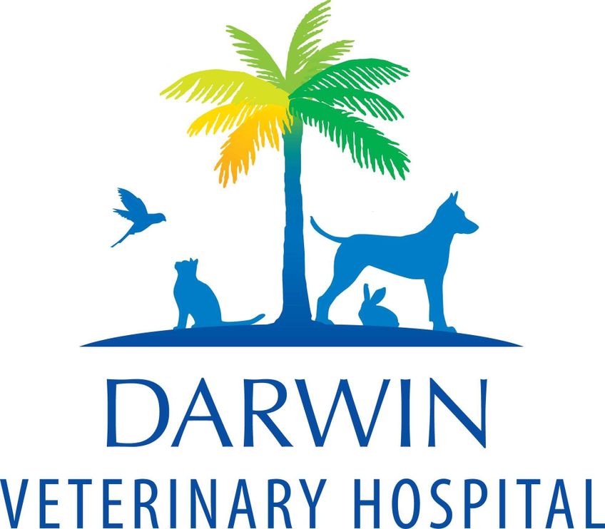 Darwin Veterinary Hospital gallery image 1