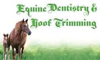 Brian S Grant Horse Dentistry & Farrier Service