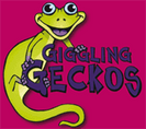 Giggling Geckos Jumping Castle Hire