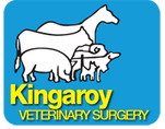 Kingaroy Veterinary Surgery