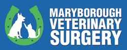 Maryborough Veterinary Surgery